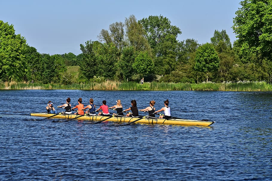 women, boat, daytime, shell, rowing, rowers, sport, coxed eight, coxswain, training
