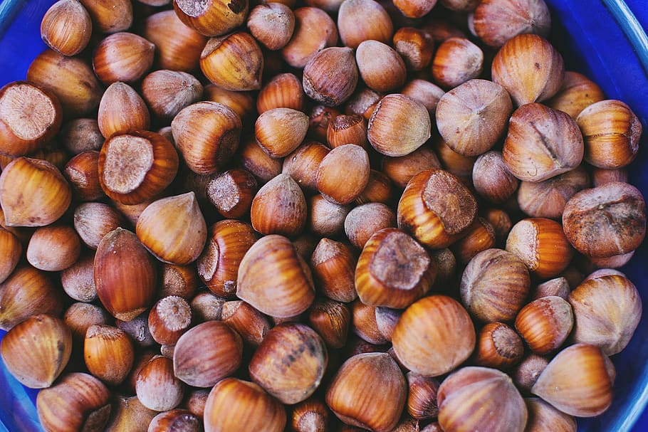 hazelnuts, food, food and drink, large group of objects, freshness, still life, abundance, nut, nut - food, wellbeing