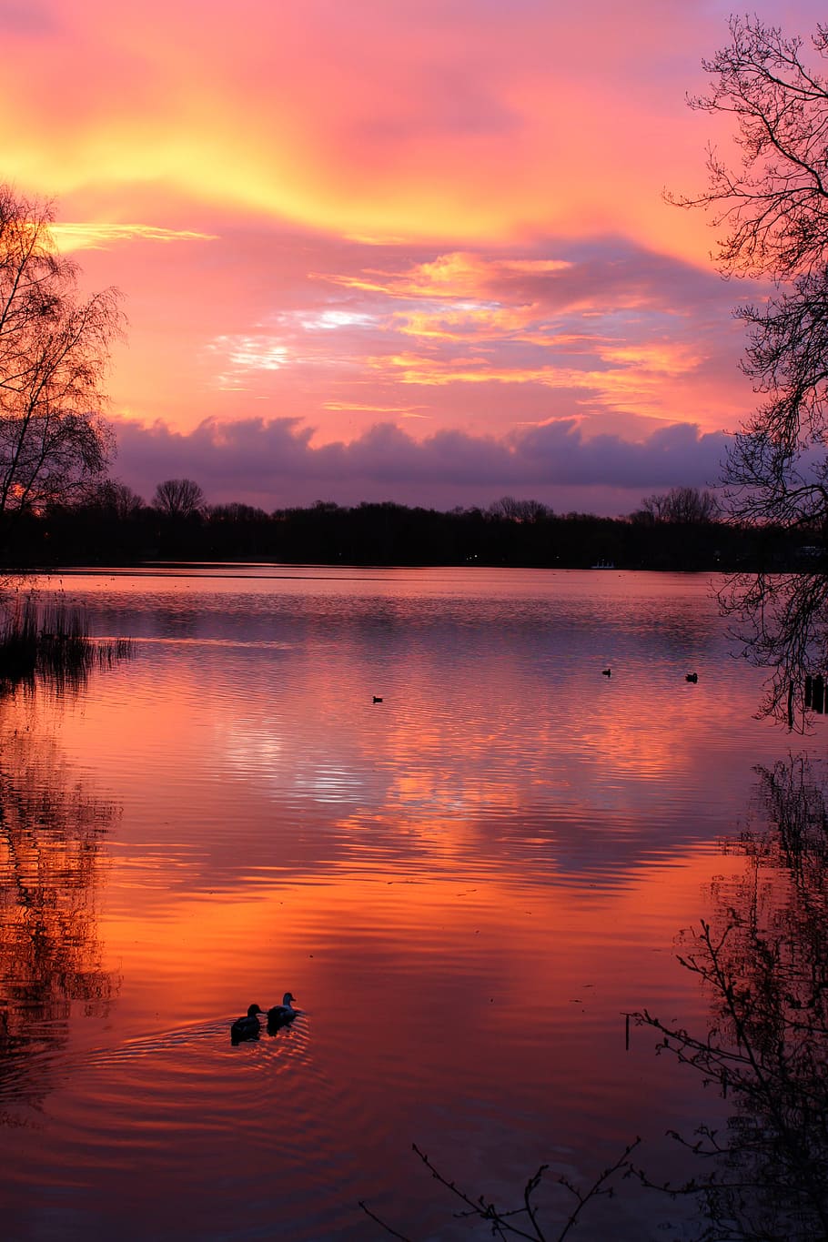 sunset, lake, abendstimmung, nature, clouds, landscape, water reflection, atmospheric, red, sky