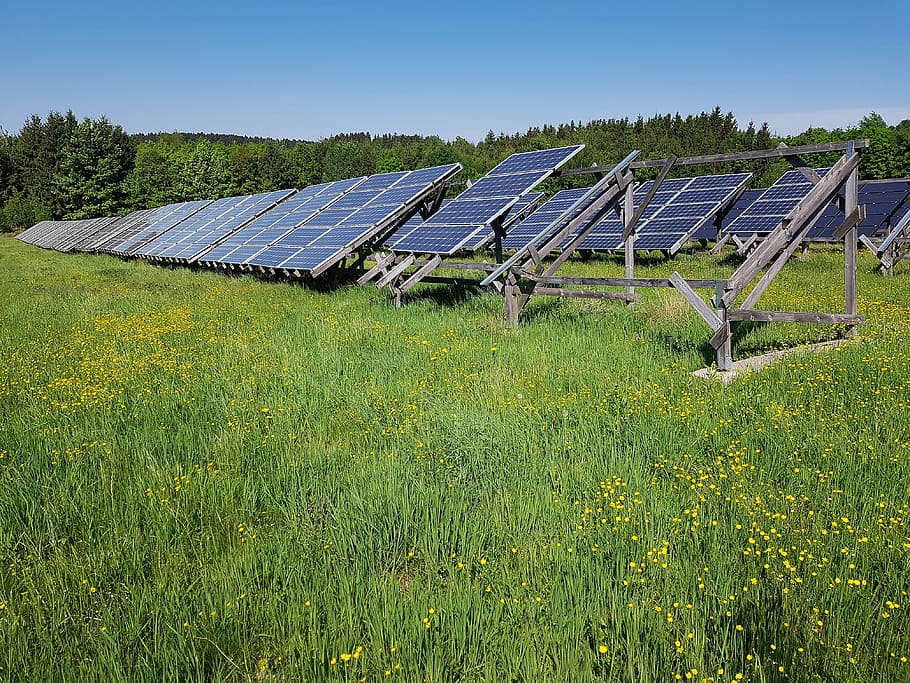 blue, solar, panels, surrounded, grass, daytime, solar field, meadow, energy, current