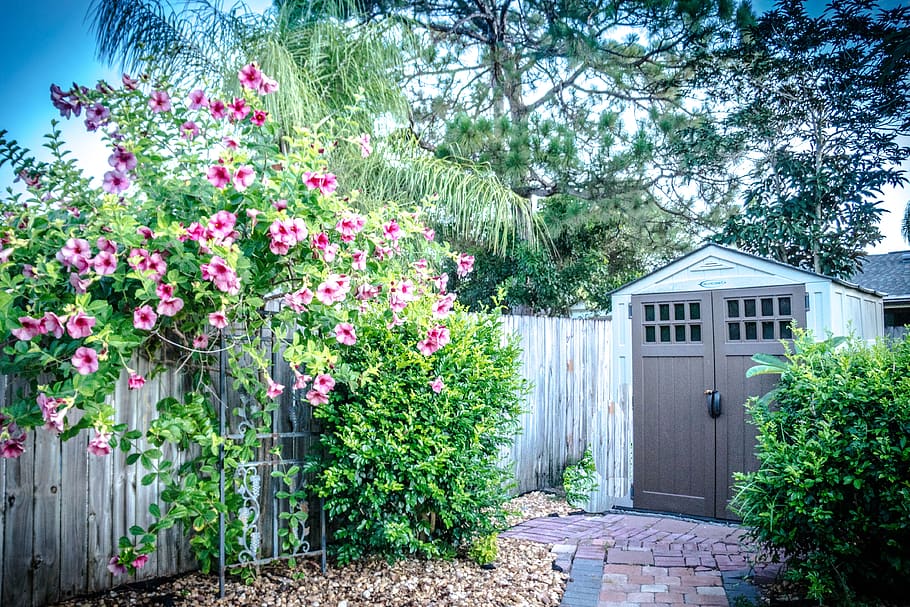 shed, yard, flowers, rustic, wooden, summer, old, nature, beautiful, romantic