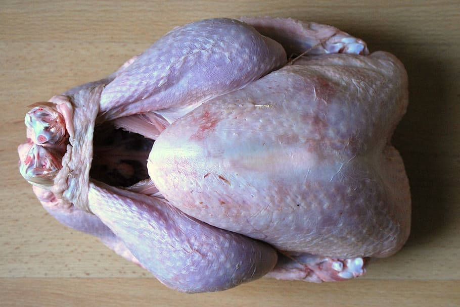 turkey, poultry, christmas turkey, power supply, food and drink, food, close-up, indoors, table, freshness