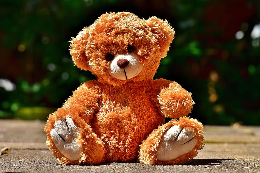 brown, teddy, bear, gray, concrete, pavement, Cute, Soft Toy, Teddy Bear, Plush