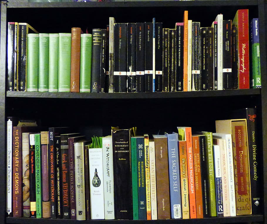 assorted-title book lot, black, wooden, shelf, bookshelf, collection, books, read, reading, classics