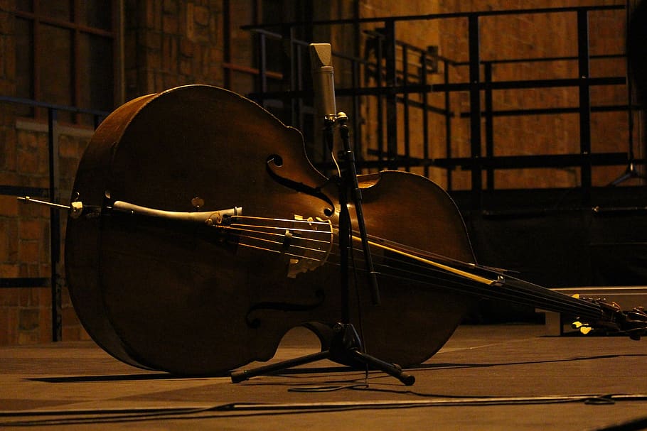 violonchelo, concierto, escenario, ocurre, música, componer, instrumento musical, sonido, instrumento, clásico