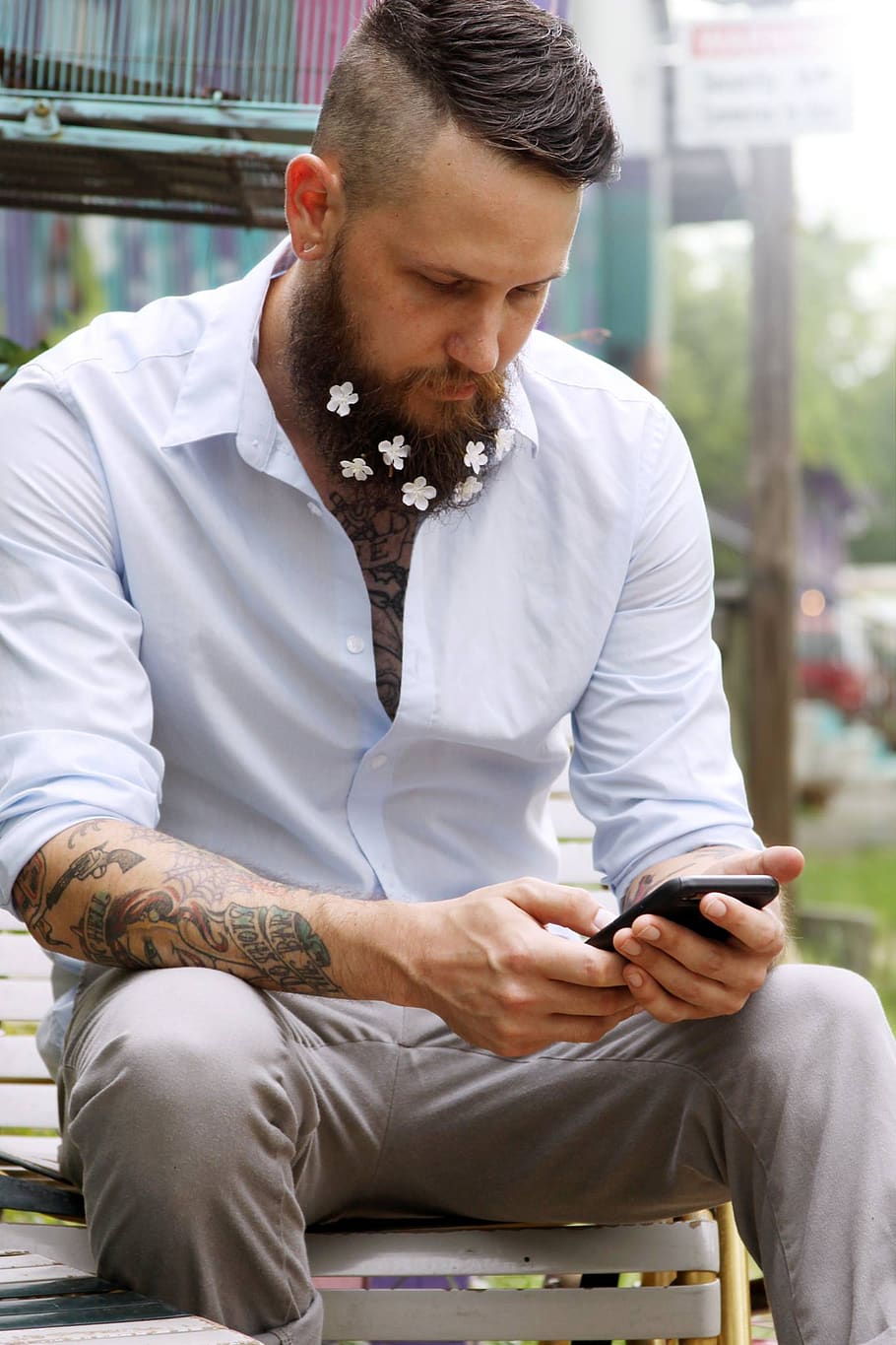 hipster, man, beard, style, sitting, phone, business, flowers, guy, male