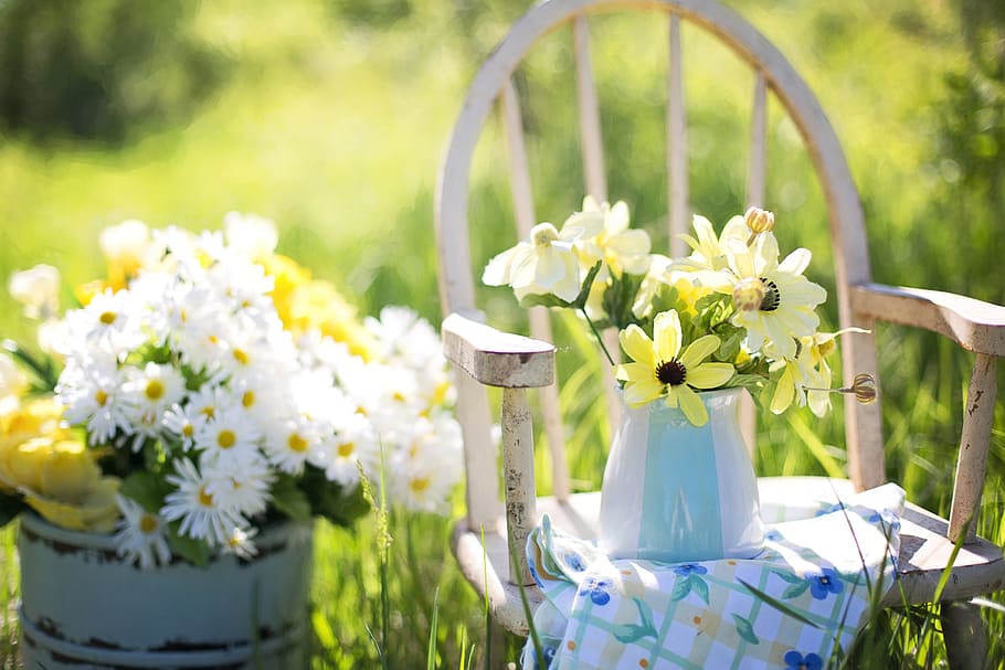 selective, focus photography, yellow, white, petaled flowers, chair, summer, still-life, daisies, garden