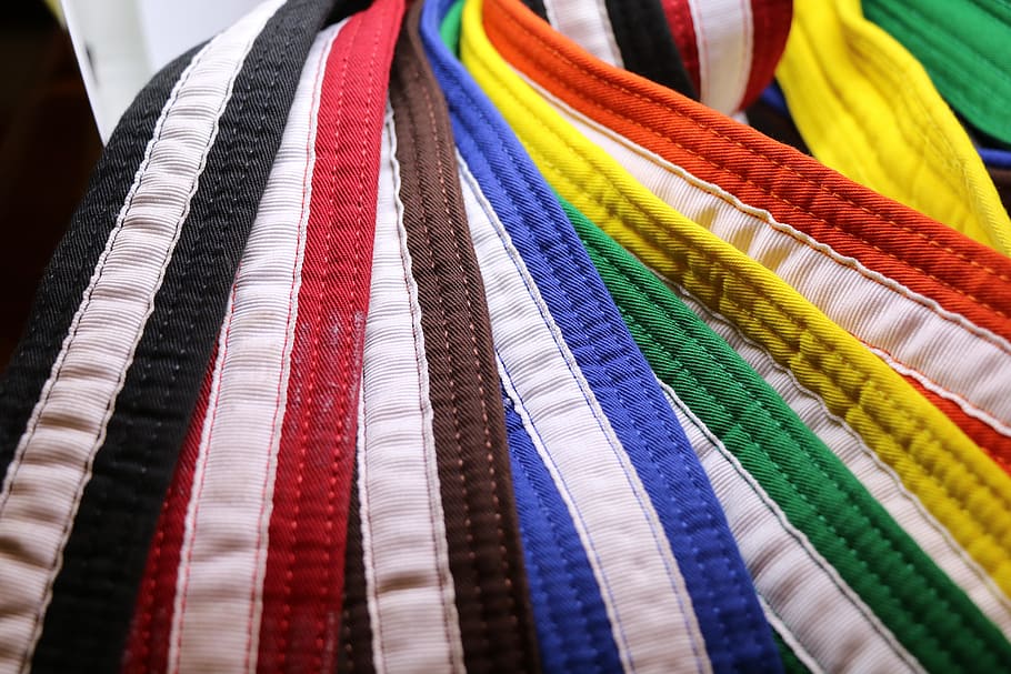 assorted-color strap lot, karate, martial arts, belts, rank, black, red, brown, blue, green
