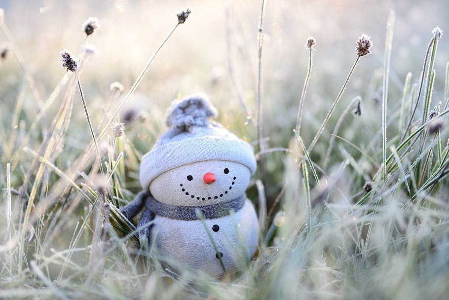 snowman, winter, grasses, hoarfrost, figure, funny, decoration, christmas time, mood, cold