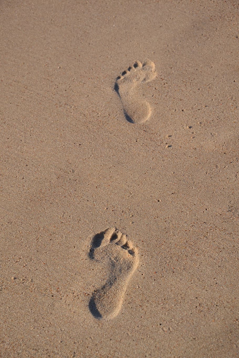 humanos, pies, arena, huellas, la costa, playa, mar báltico, piernas, relajación, agua