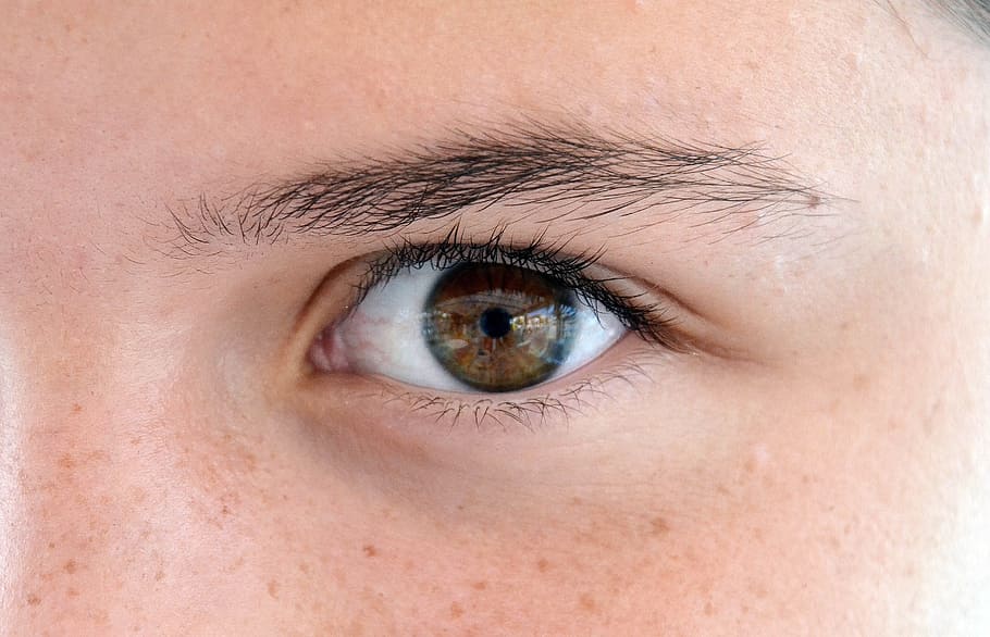 closeup, person eye, Eye, Body, Look, Person, human eye, eyelash, eyesight, one person