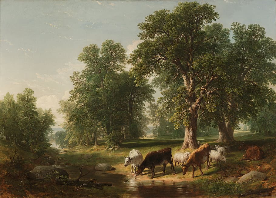 three, brown, white, black, cow drinking water, river, asher durrand, painting, oil on canvas, art