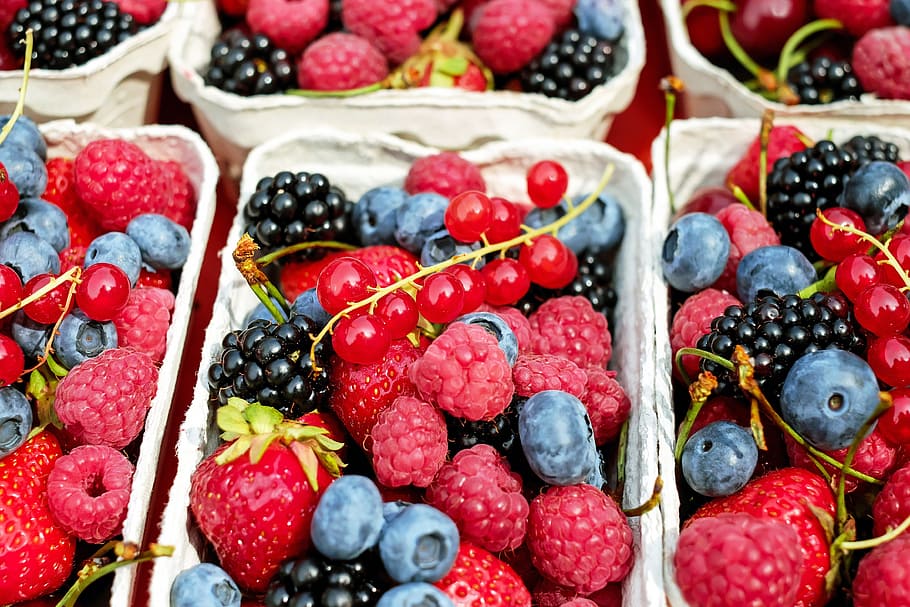 aneka-macam beri, beri, buah, buah-buahan, campur, dudukan buah, buah berry, makanan, makanan dan minuman, makanan sehat