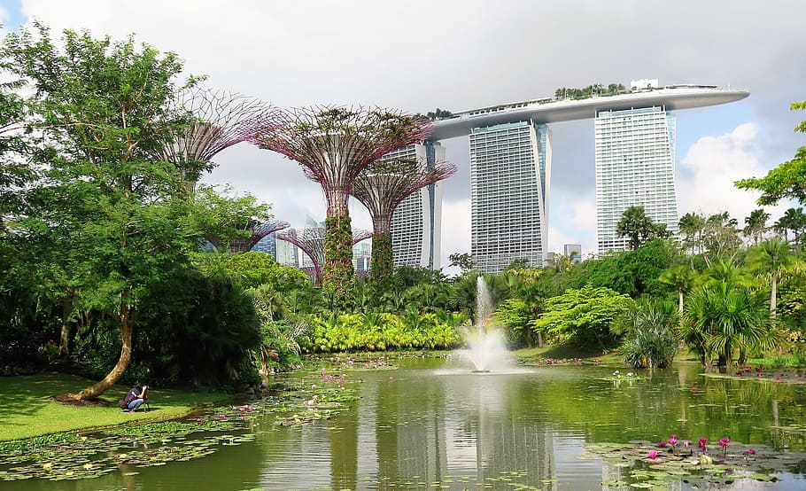 Singapura, Marina Bay Sands, pohon super, air, arsitektur, Tempat terkenal, Pemandangan perkotaan, sungai, taman - Ruang Buatan Manusia, pohon