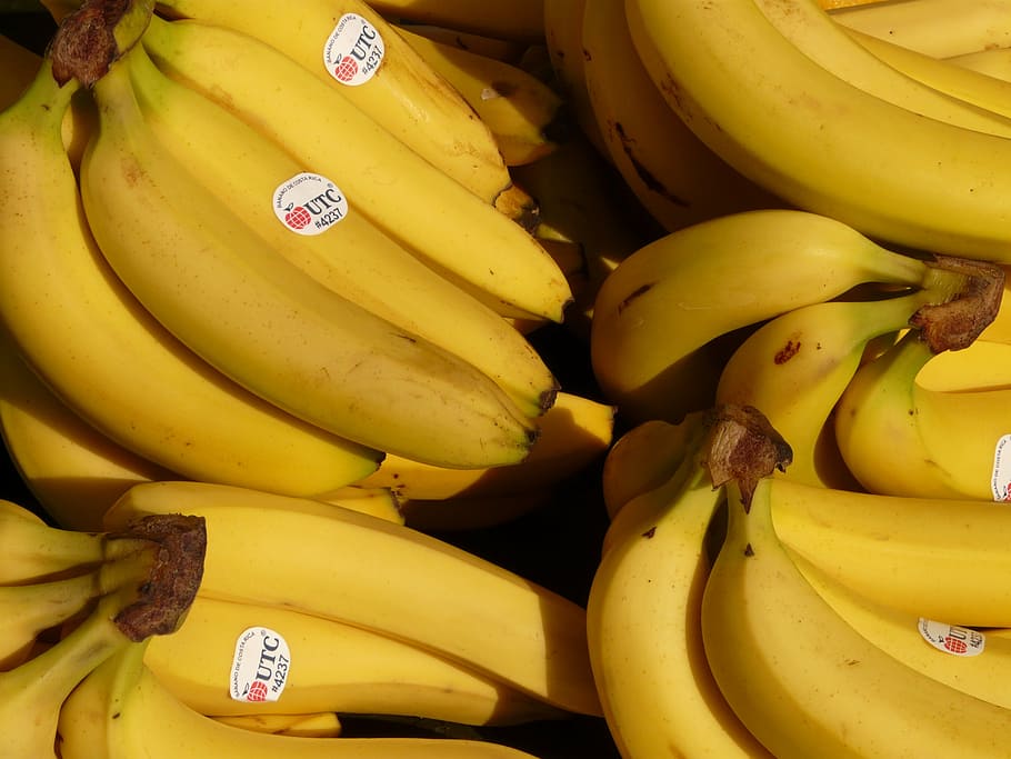 pisang, buah, sehat, kuning, tropis, makanan, semak pisang, semak, makanan sehat, kesegaran