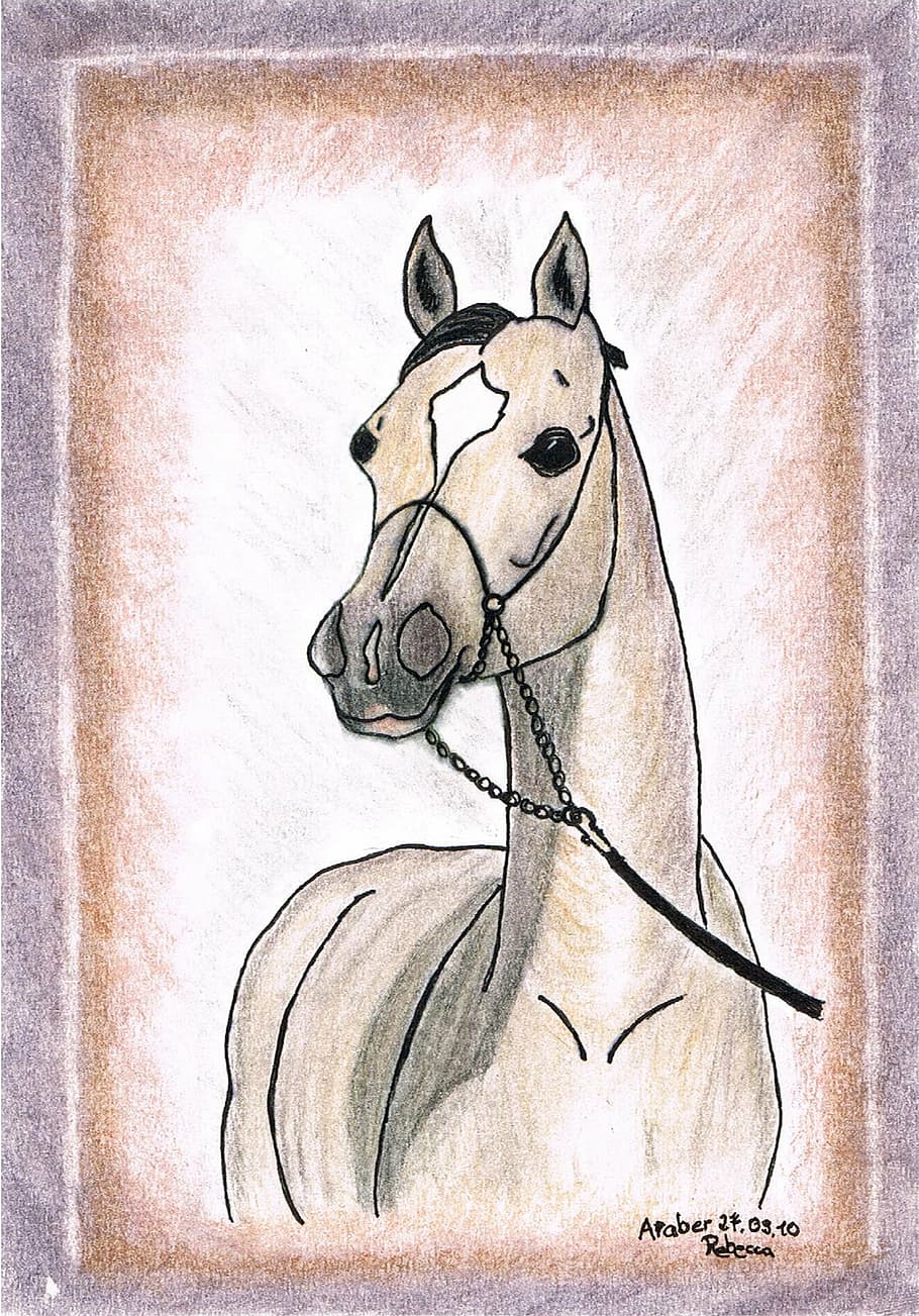 drawing, painting, horse, arabs, pony, whole blood, animal, animal themes, mammal, creativity
