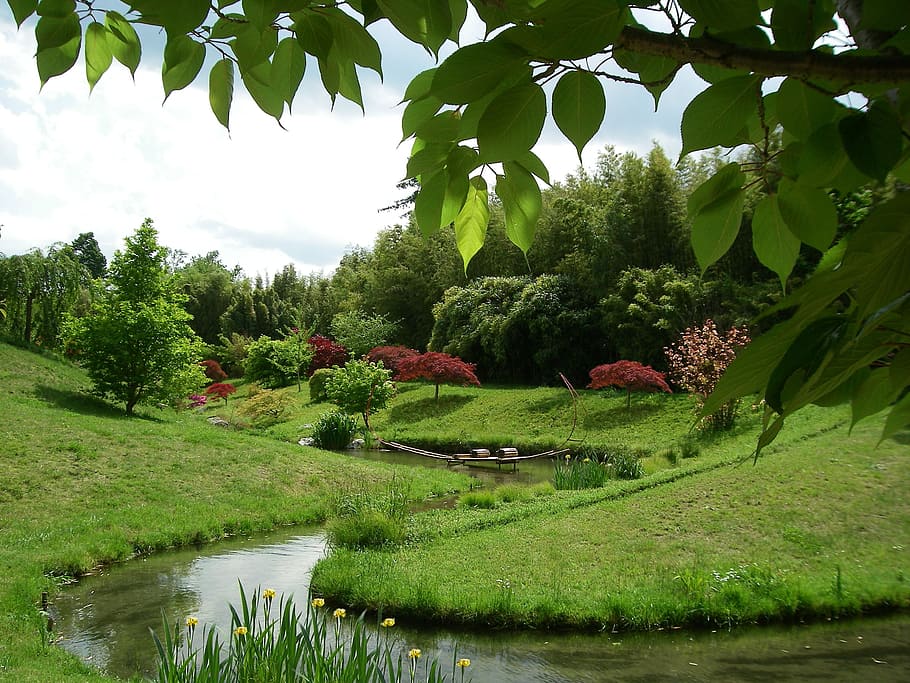 taman jepang, taman, bambu selatan perancis, sungai kecil, alam, pohon, warna hijau, di luar ruangan, air, lanskap