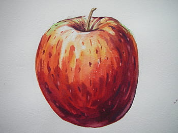 fruit-apple-painting-illustration-royalty-free-thumbnail.jpg