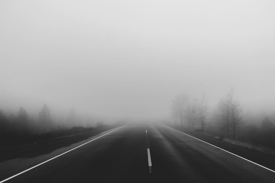 foggy, black, concrete, road, grayscale, surrounded, trees, fog, covered, weather