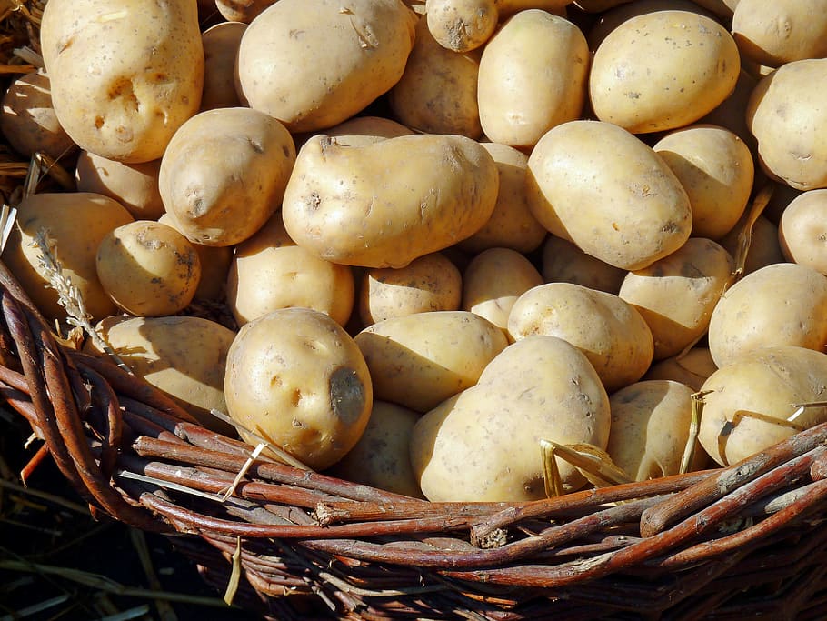 bunch, potatoes, brown, wicker basket, potato, autumn, nature, vegetarian, delicious, eat