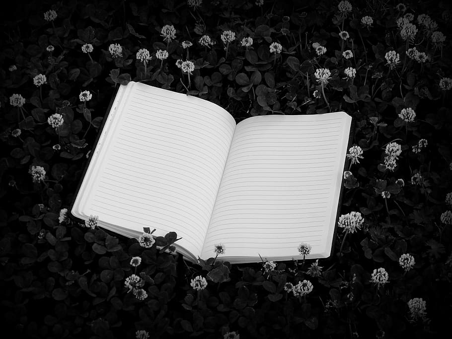 book, writing, pages, nature, clover, black and white, graphy, poetry, publication, page