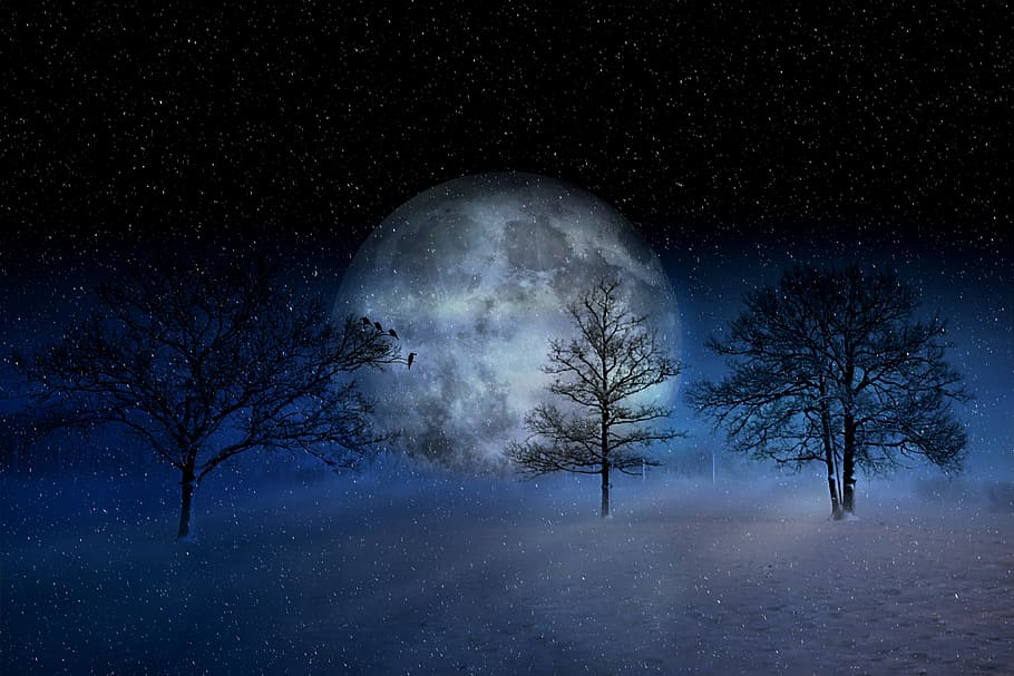 digital, artwork, full, moon, trees, winter, wintry, christmas, snow, snowy