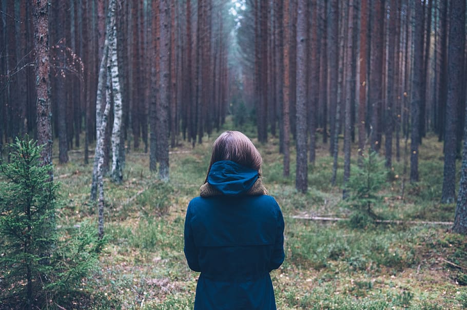 girl, forest, woods, trees, grass, nature, woman, people, coat, tree