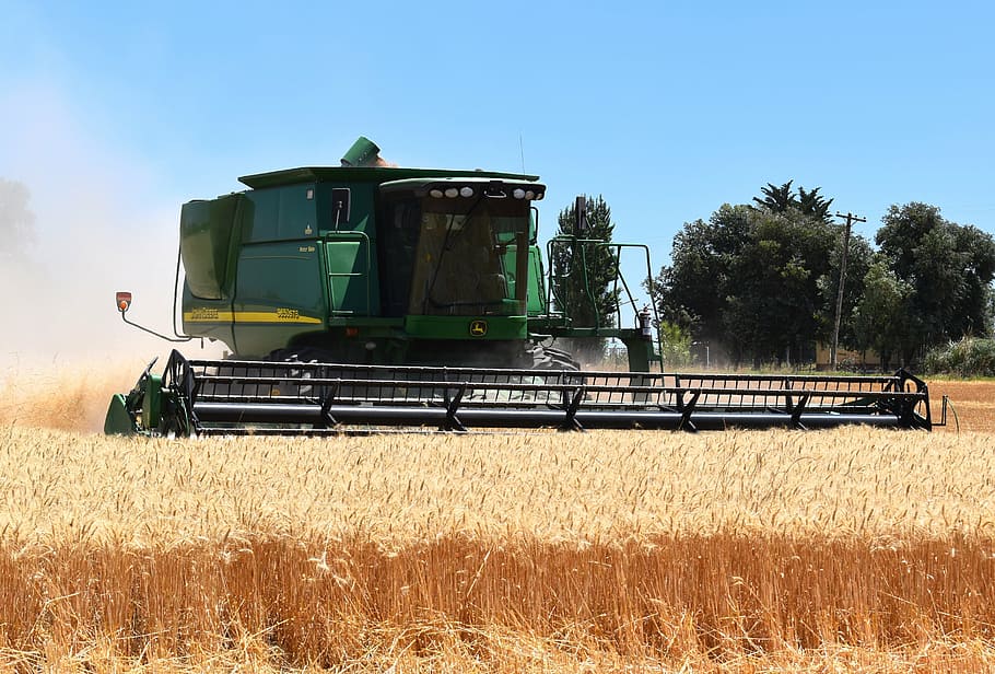 green, black, tractor, hays, harvest, wheat, cereal, threshing, combine harvester, agriculture