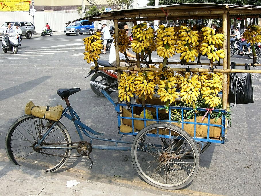 bananas on trailer, bananas, trade, bicycle, viet nam, fruit, tropics, street, market, transportation