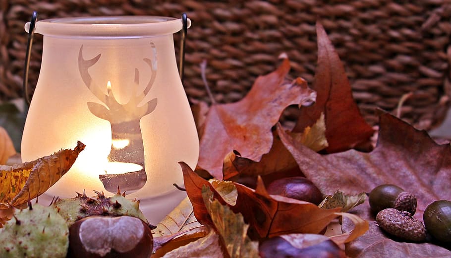 blanco, lámpara, marrón, hojas de arce, estado de ánimo de otoño, otoño, hojas de otoño, hojas, color, candelita