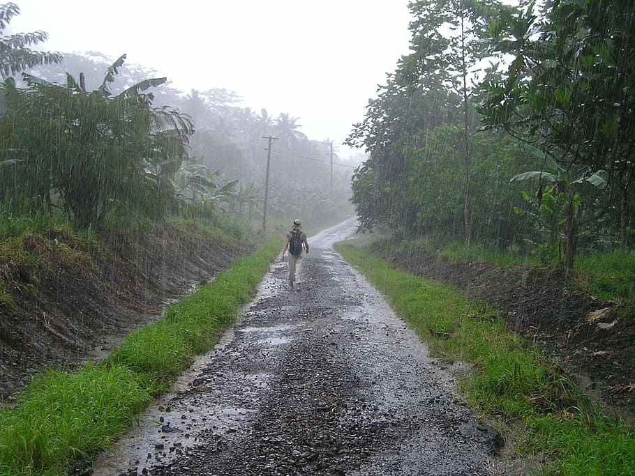 person, walking, trees, rain, downpour, rainy season, samoa, exotic, south sea, heavy rain