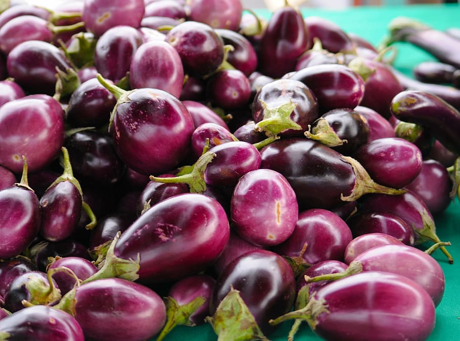 eggplant, purple, aubergine, fresh, vegetable, produce, colorful, market, ripe, food