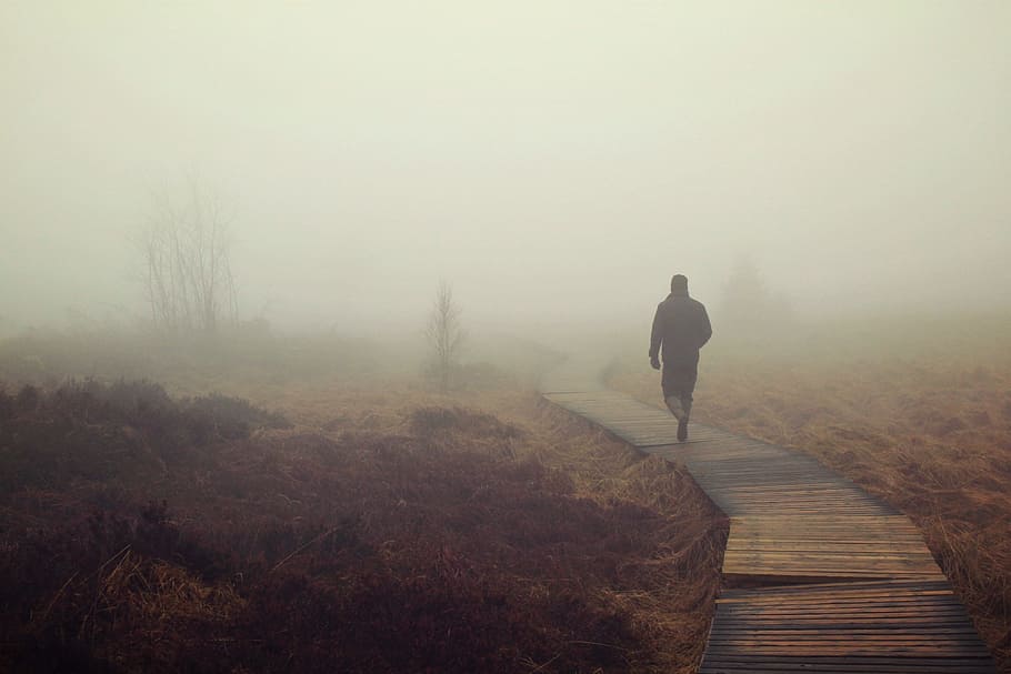 man, walking, boardwalk, fogs, walking on, fog, moor, marsh, nebellandschaft, person