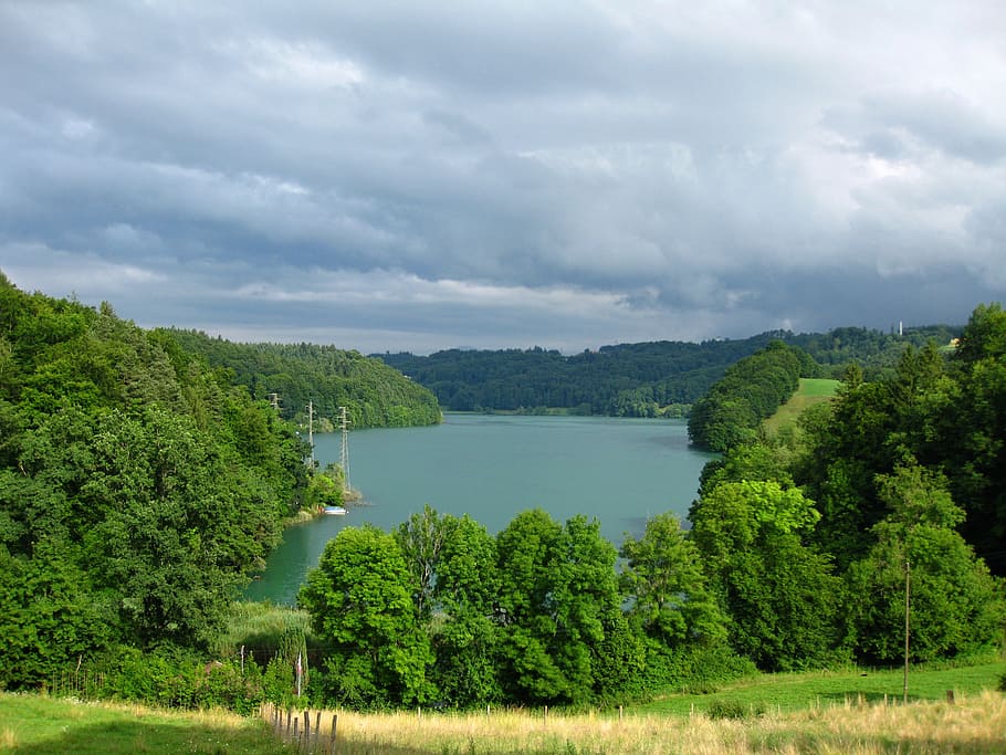 lake, water, switzerland, landscape, waters, lake wohlen, nature, tree, trees, forest