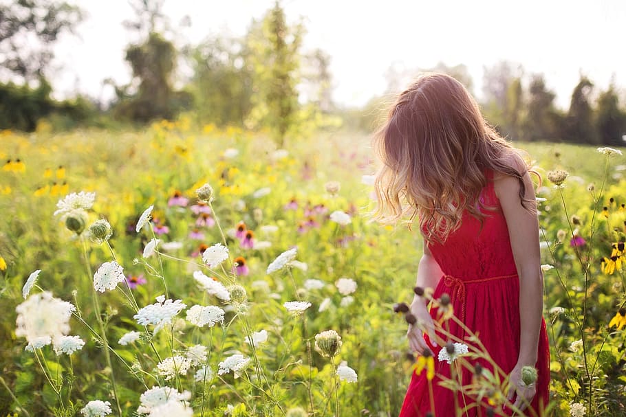 mujer, rojo, vestido sin mangas, de pie, al lado, campo de flores, durante el día, mujer joven, bonita, verano