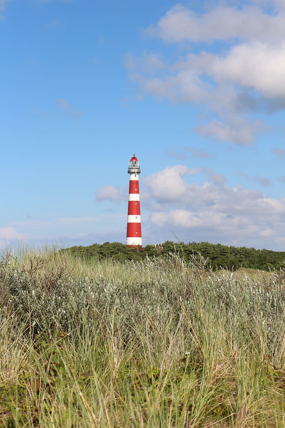 lighthouse, hollum, ameland, red white, guidance, sky, field, land, grass, security