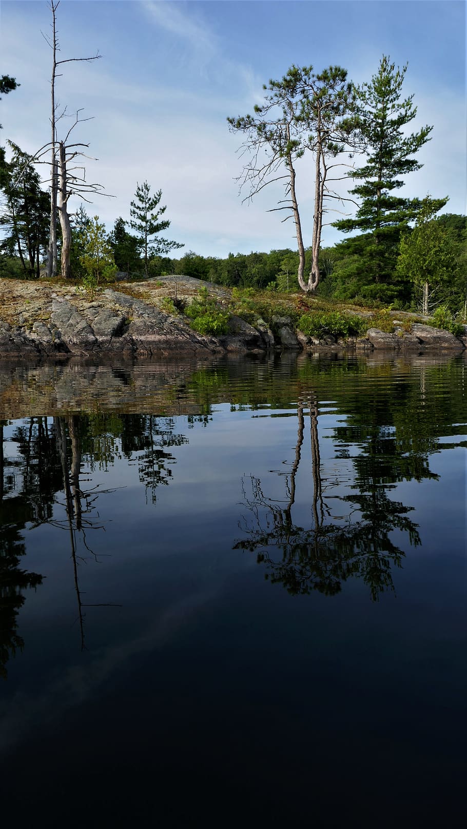 ashby lake, ontario, canada, canadian shield, dawn, tranquil, reflection, lake, trees, tree