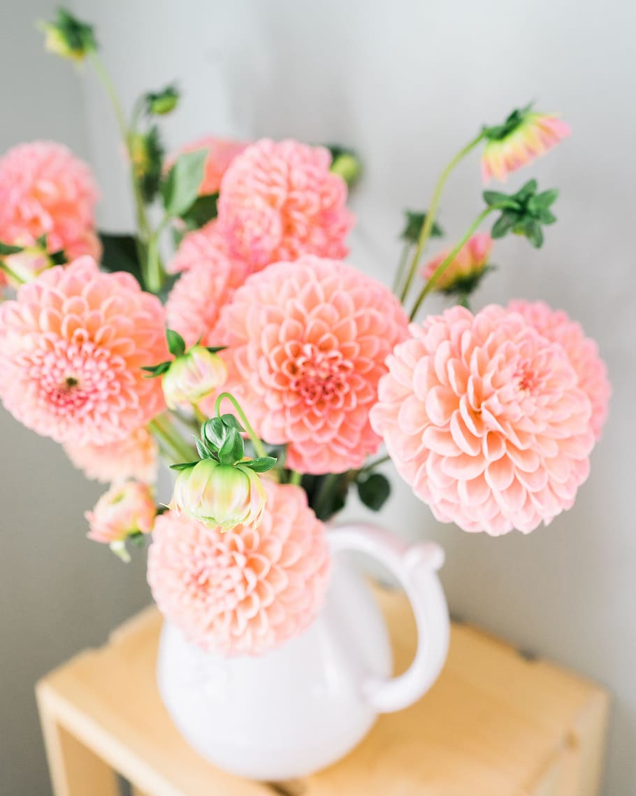pink flowers, dalia, flowers, vase, bouquet, plant, composition, bouquet of flowers, decoration, nature