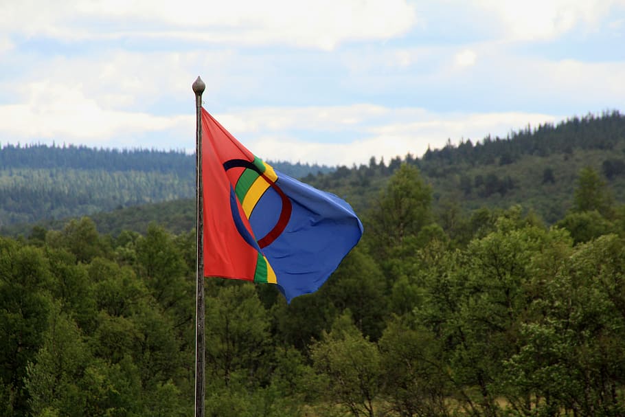 flag, seeds, sweden, lapland, forest, colorful, swedish, native american, scandinavia, europe