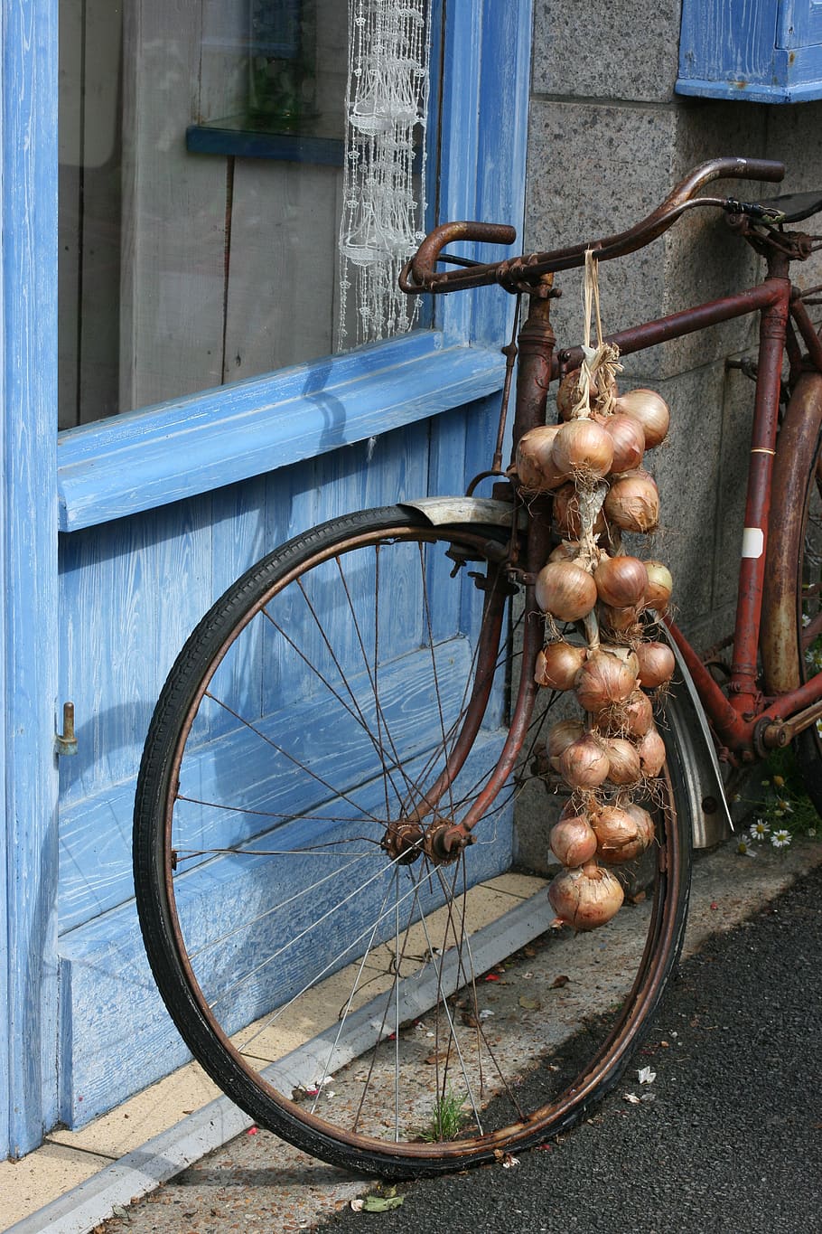 brittany, bike, onions, roscoff, transportation, bicycle, mode of transportation, metal, day, land vehicle