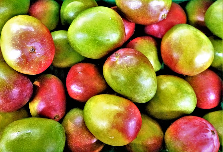 pila de mangos, fruta, comida, mango, jugoso, con buena salud, frescura, poder, papel tapiz, sabor