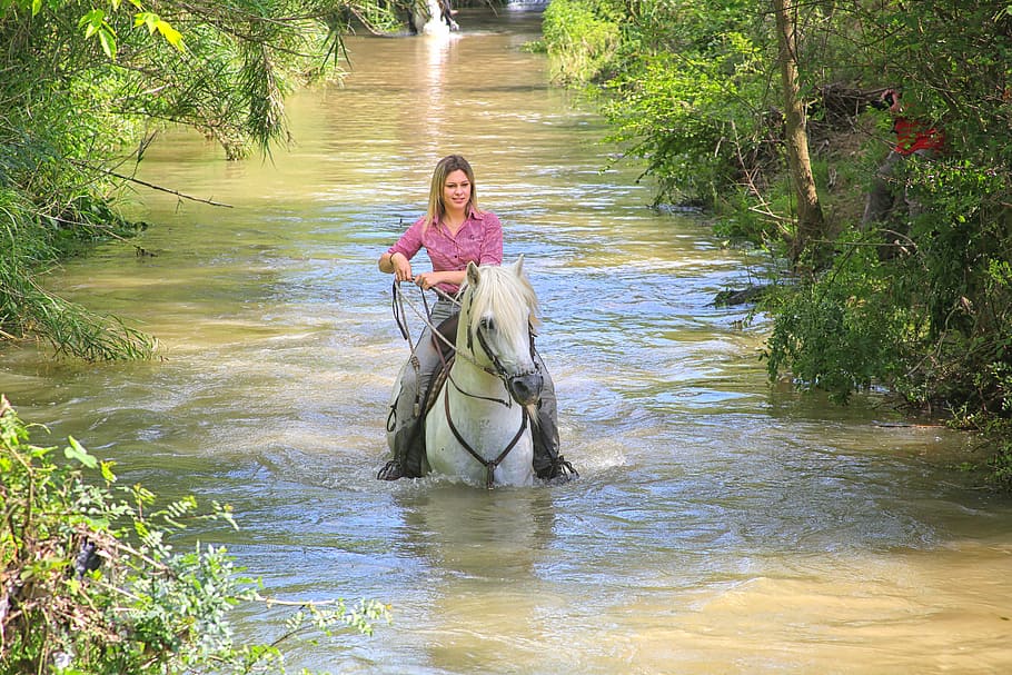 woman, riding, horse, walking, body, water, surrounded, trees, day, complicity