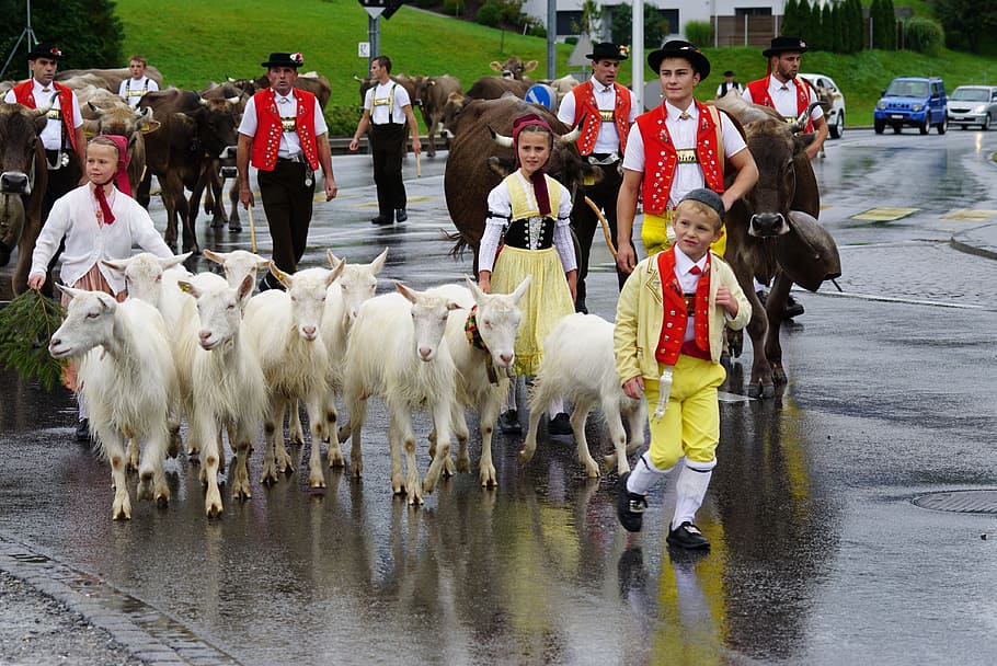 Suiza, Appenzell, típico, tradición, désalpe, cabras, desfile, tradicional, niños, gran grupo de personas