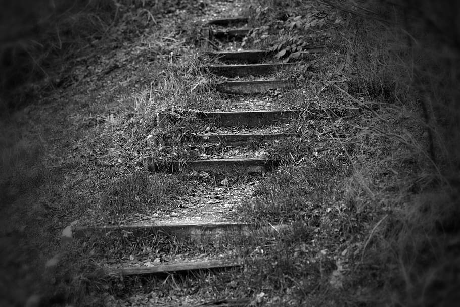 gradually, away, path, stairs, staircase, rise, stair step, stone, upward, old