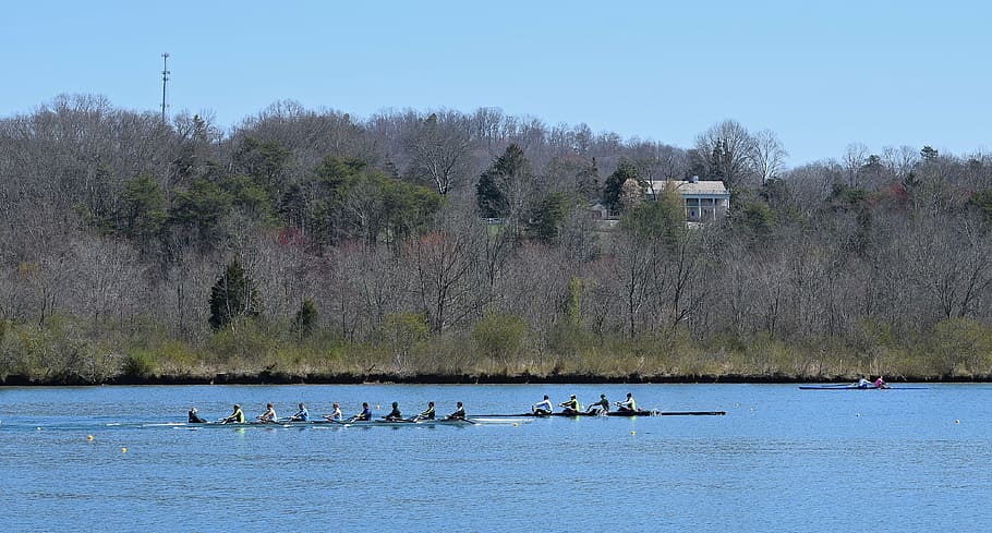 mens scull rowing, scull rowing, men, rowing, sport, clinch river, melton lake, tennessee, house, background