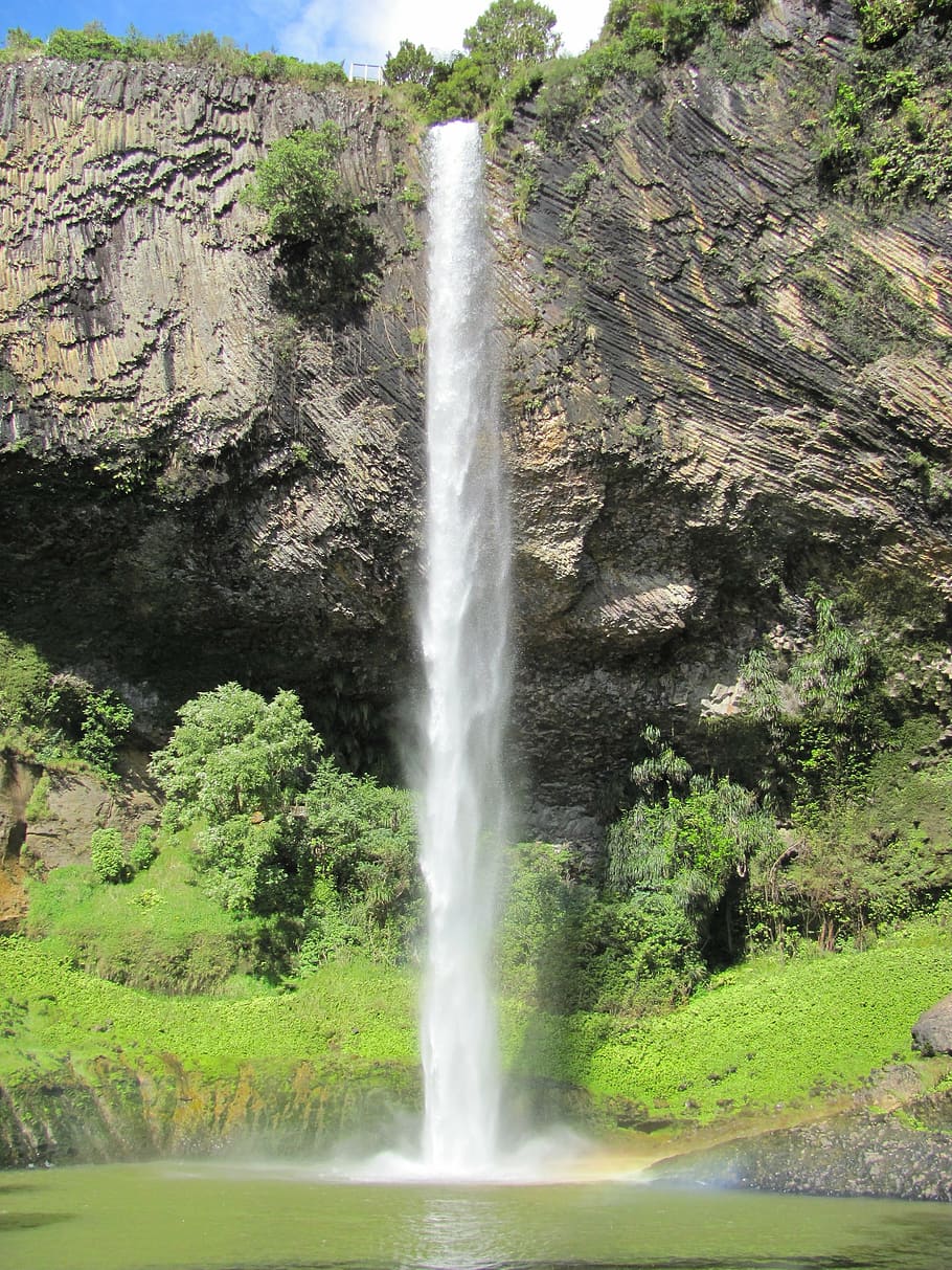 cachoeiras, nova zelândia, véu de noiva cai, rochas, cachoeira, plantas, água, em cascata, bela, cênica