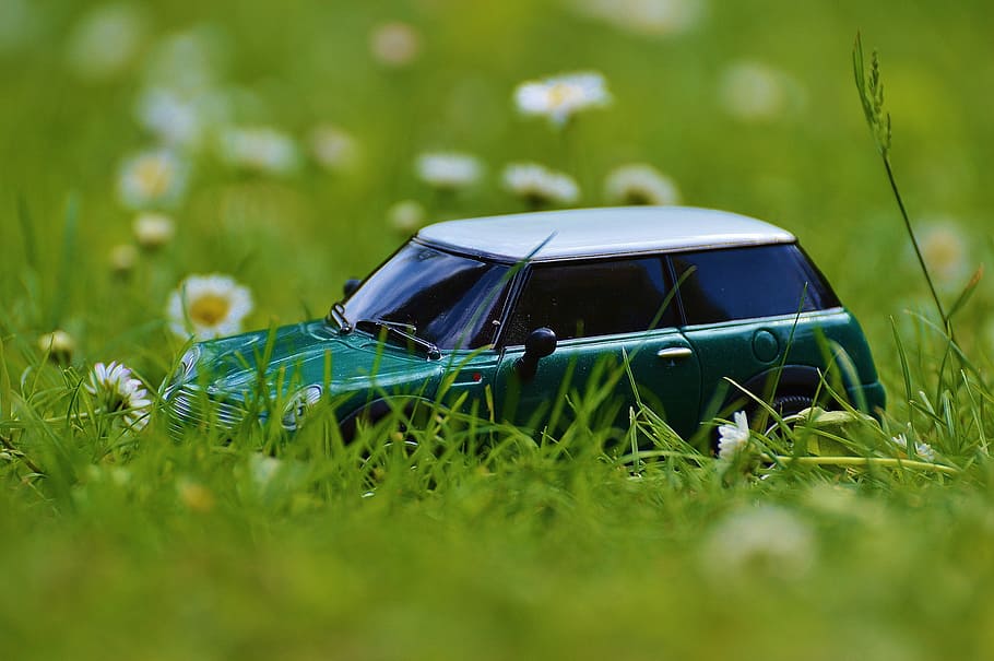 mini cooper, auto, model, vehicle, mini, green, grass, plant, green color, nature