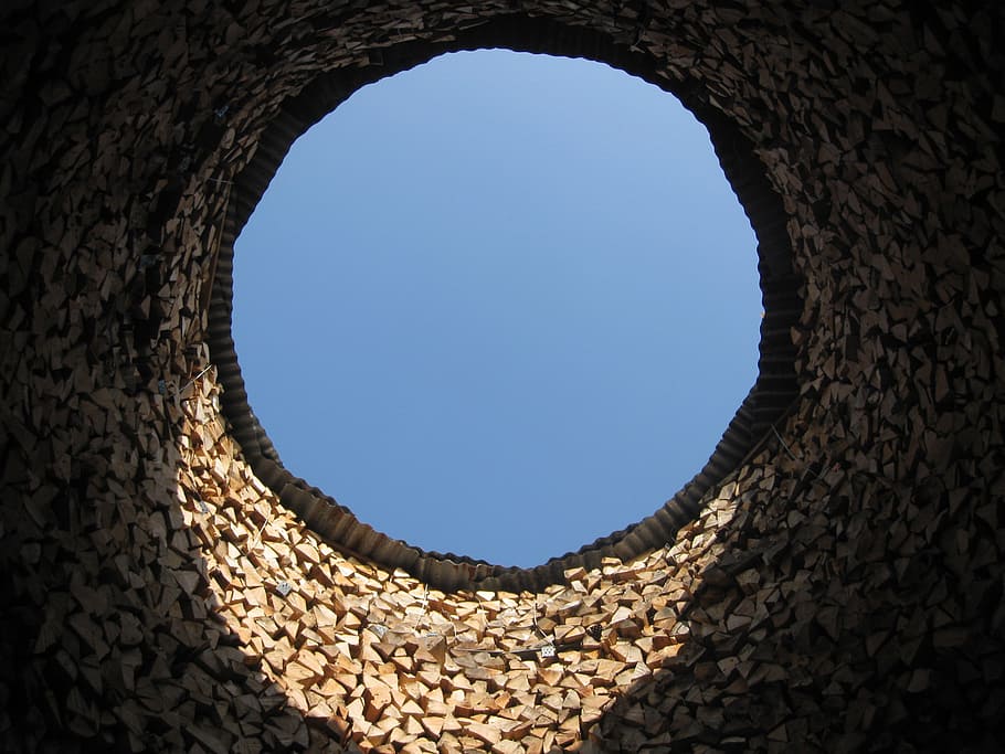 Wood, Hole, Hollow, Tribe, Woods, wood holes, log, tree, forest, nature