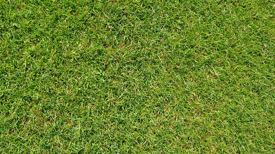 lapangan rumput, rumput, hijau, sepak bola, lapangan sepak bola, latar belakang, tekstur, gazongras, alam, Warna hijau