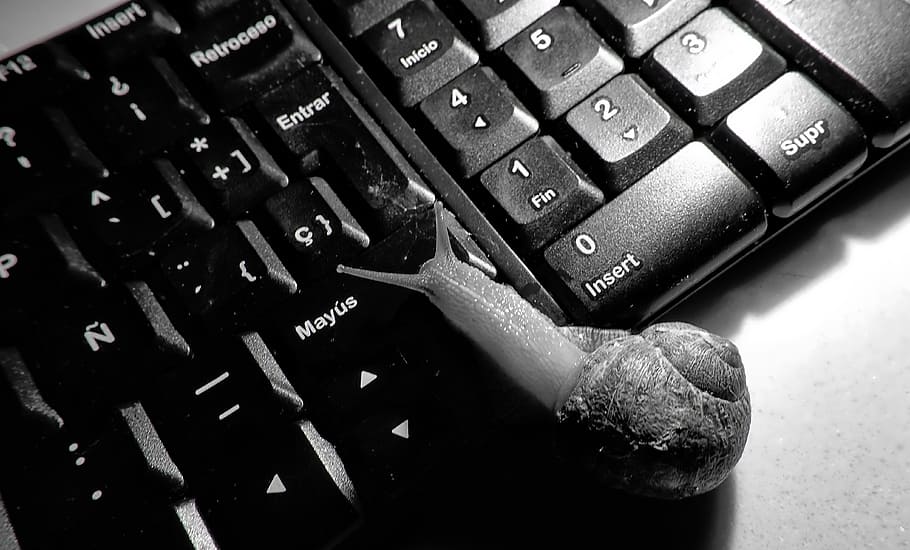 Caracol, -scale, snail, keyboard, computer equipment, technology, computer, computer keyboard, communication, connection